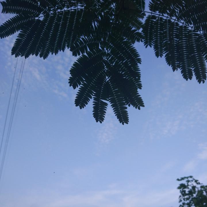 我爱晴天