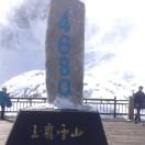 智能交通，弱电智能化项目