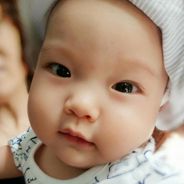 我家有个十七爷