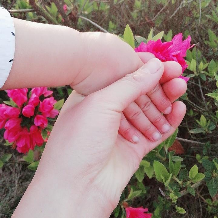 四叶草 🍀
