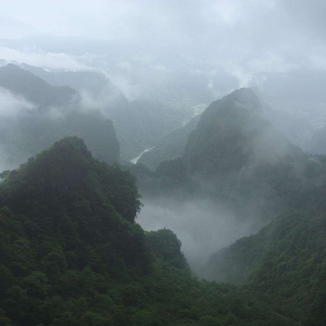 最爱海鲜加啤酒