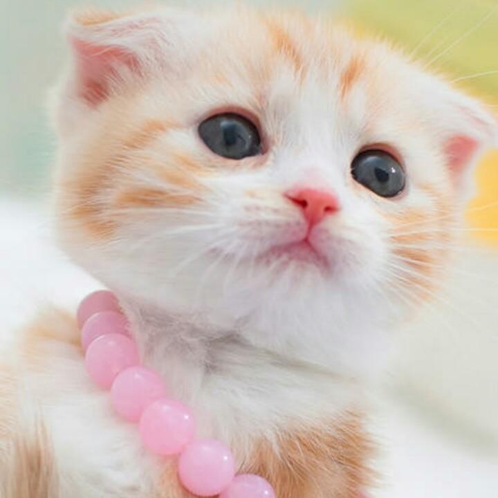 在呼你