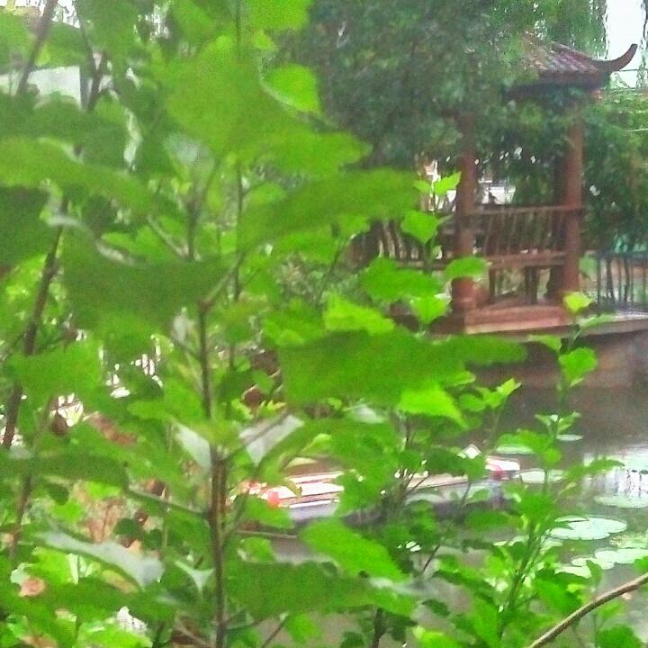 快活林中一俗人