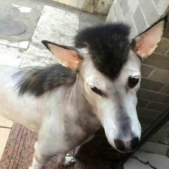 加盐的可乐