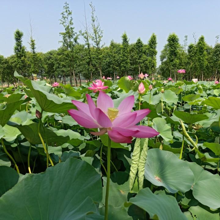 感然