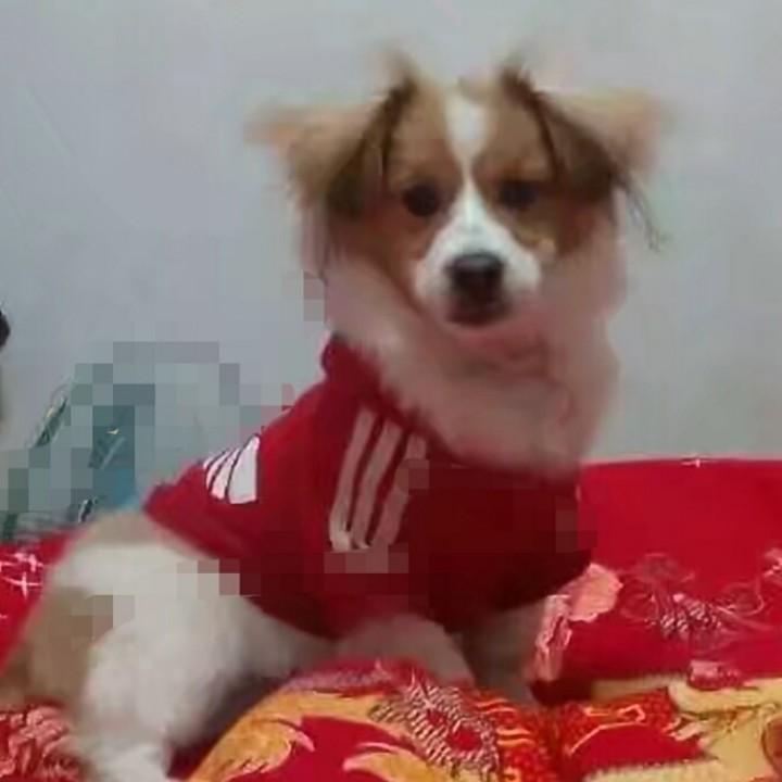眉毛胡子一把抓