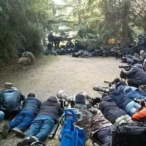 凑热闹