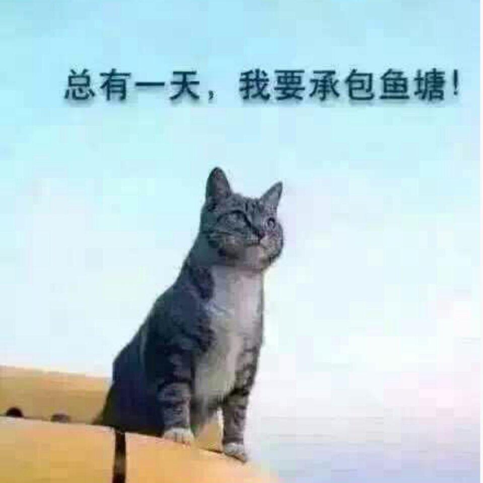 顶固装饰有限责任