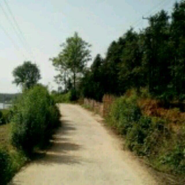 流年渲染了谁の容颜