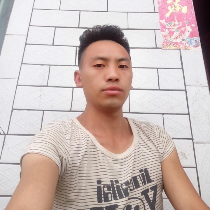 小成龙