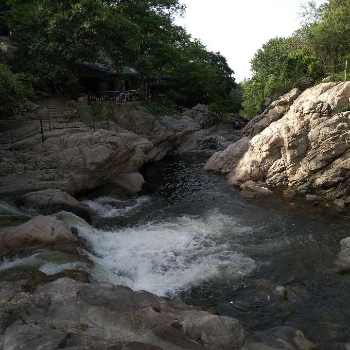 百香果果