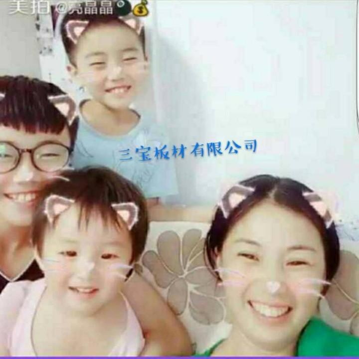 板材包装板体育衬板LVL建筑模板厂家三宝
