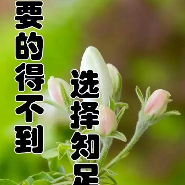 豫LH    ❤️🧡