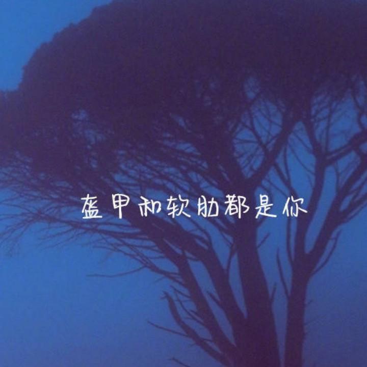 白菜还是半斤的好