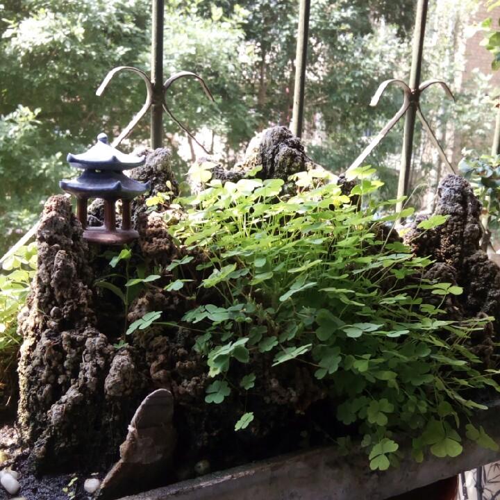 圣基