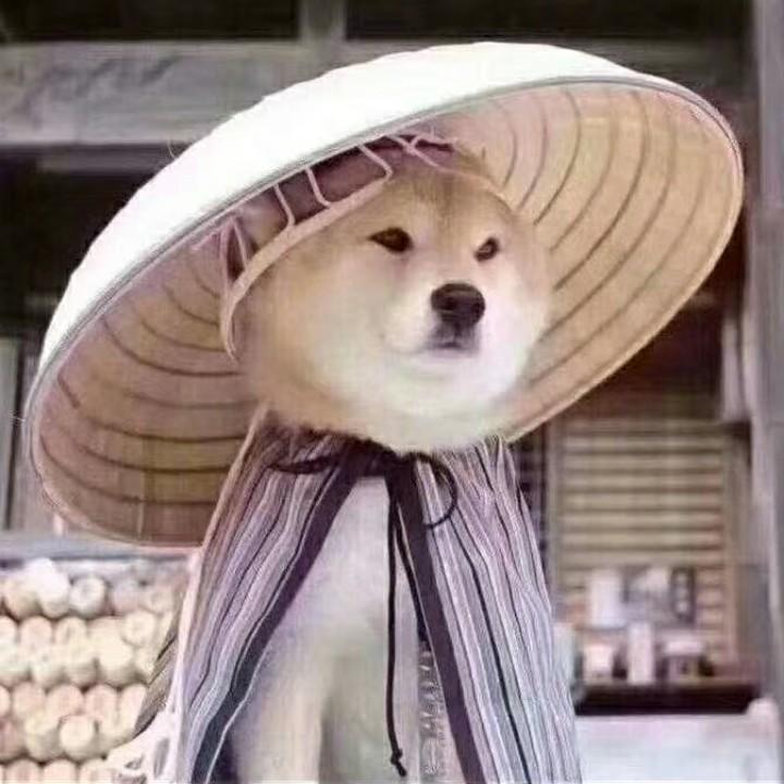 🌈一盏烛火灭愁🌈