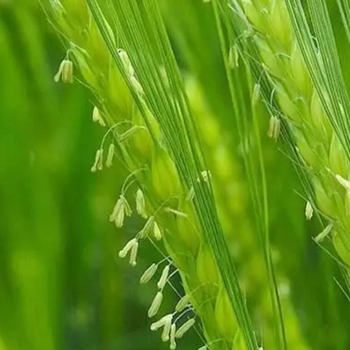发现生活的美