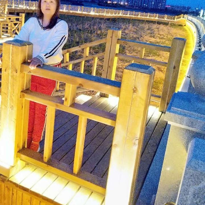 放飞梦想