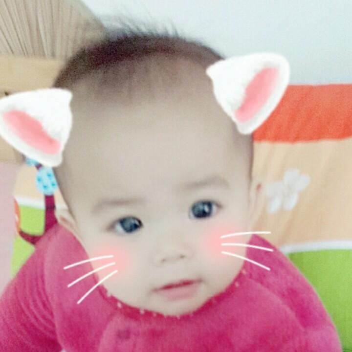 一月丽花
