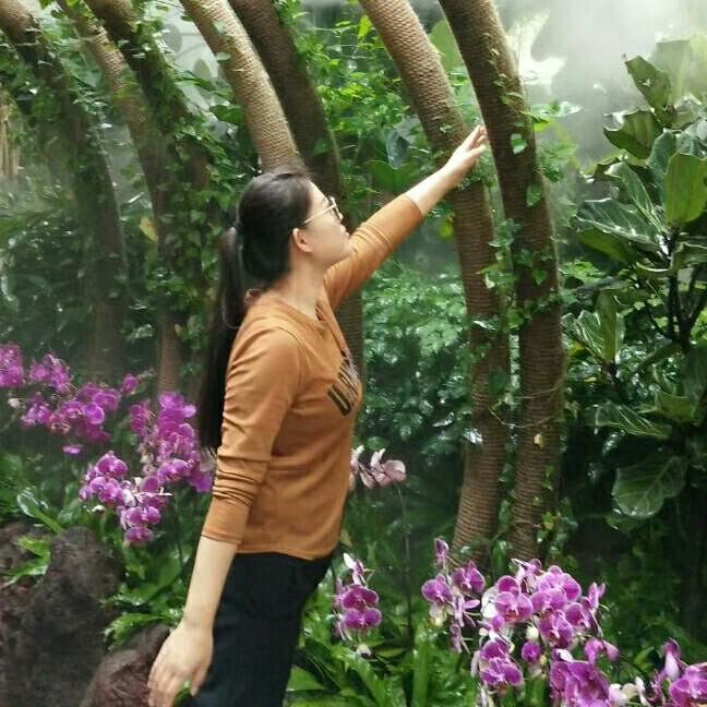枫叶