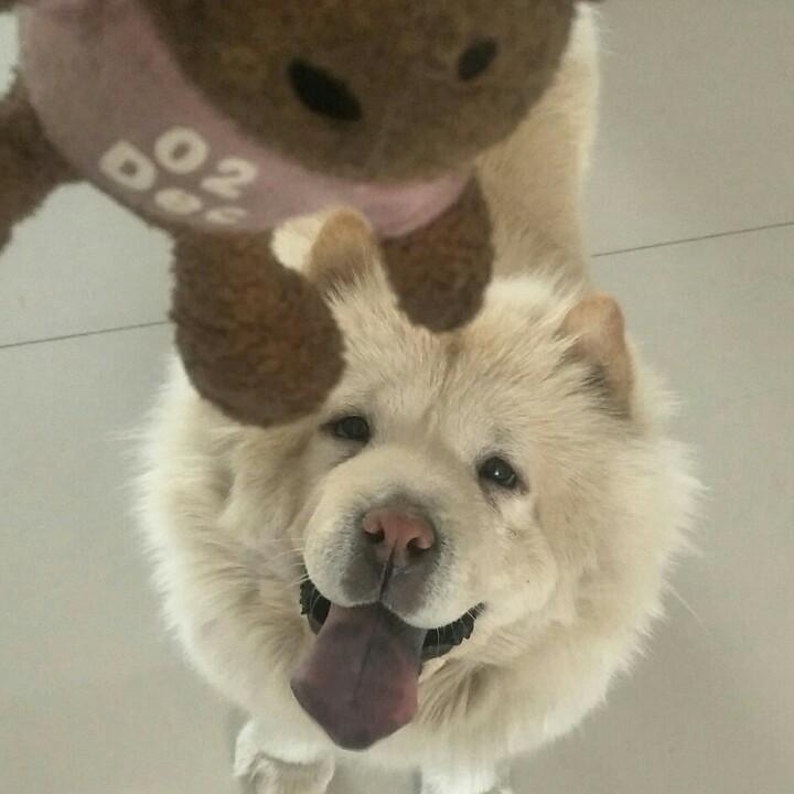 优秀且欠扁