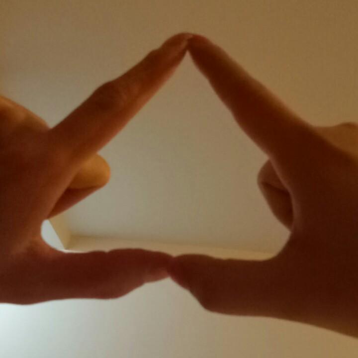 君