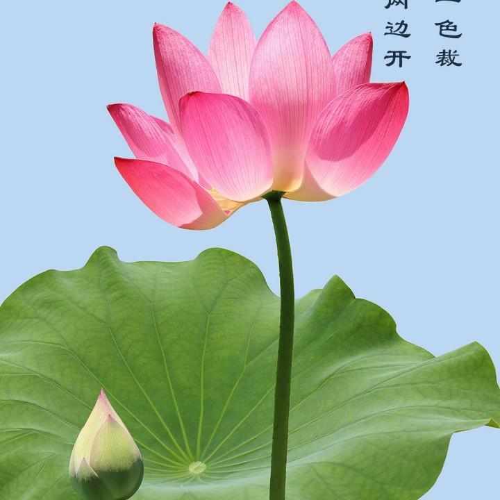奕鎵合宅配