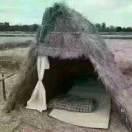 天天开心龙女红红