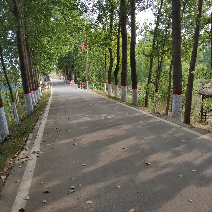 大可