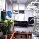 美好未来(关赞必回)