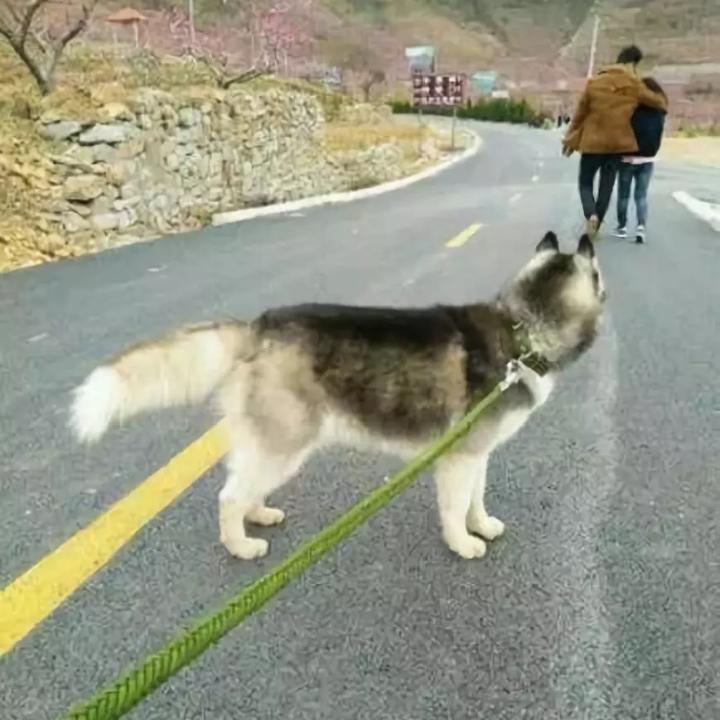 小云