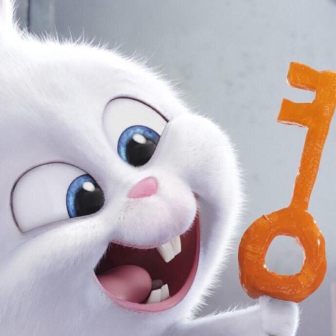 Ice