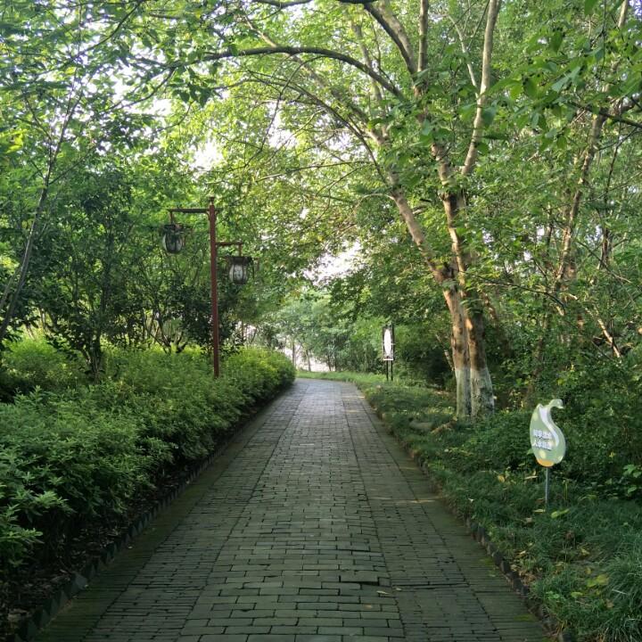 蓝天8072