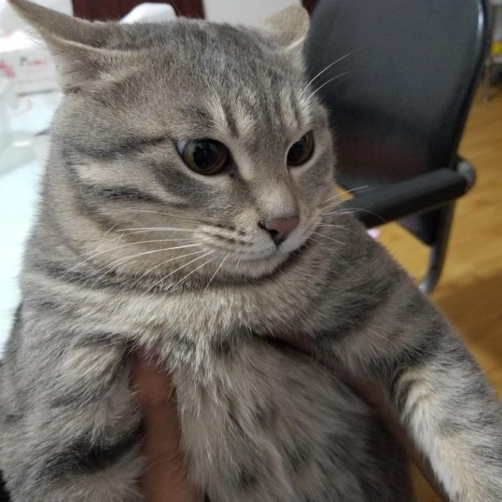 小余哆哆