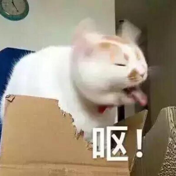 如若不相见