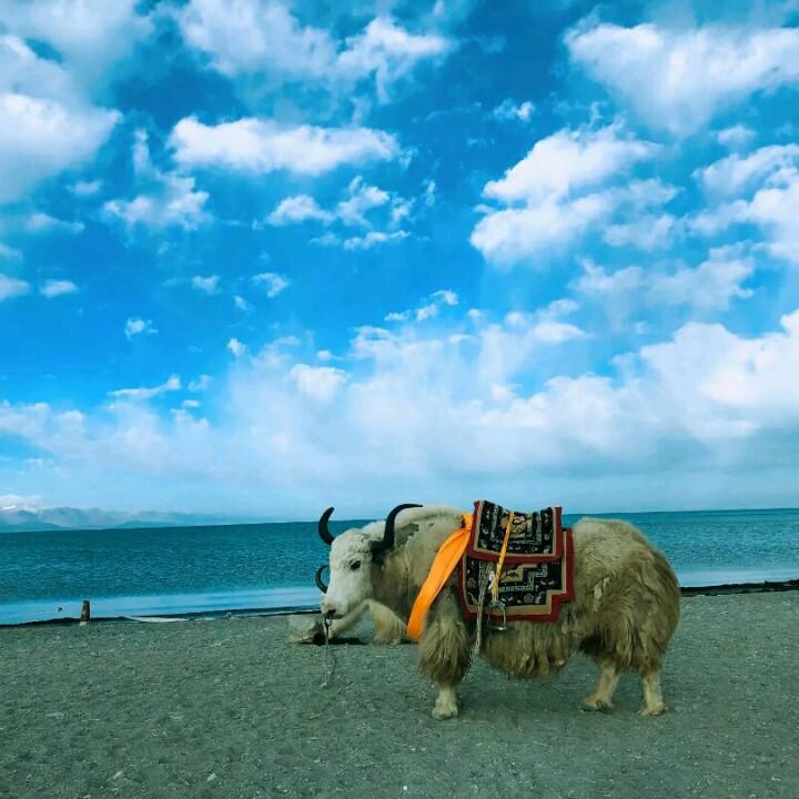 和平