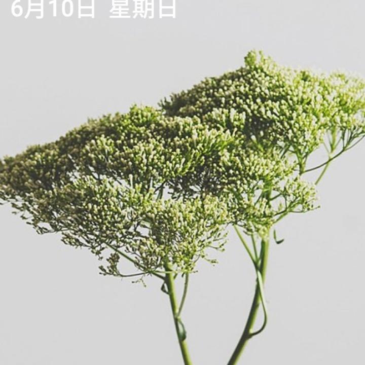 开心的狼🐺🐺