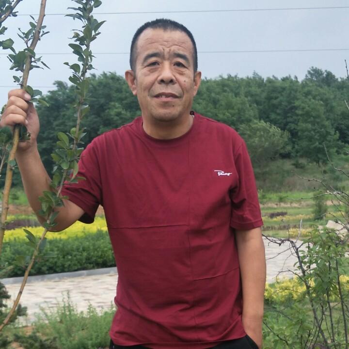 非常玩家