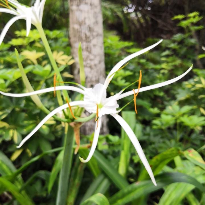 和风细雨