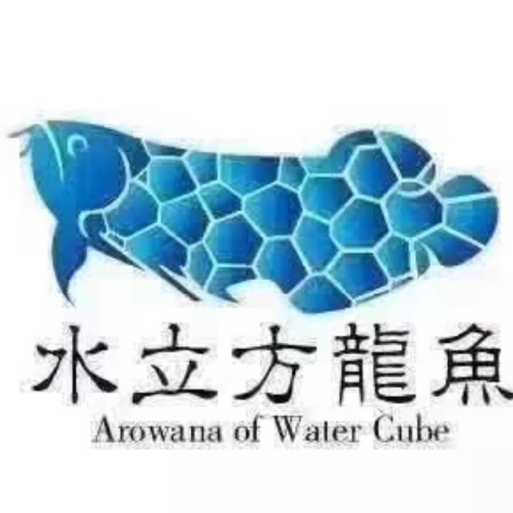 啸谈龙鱼