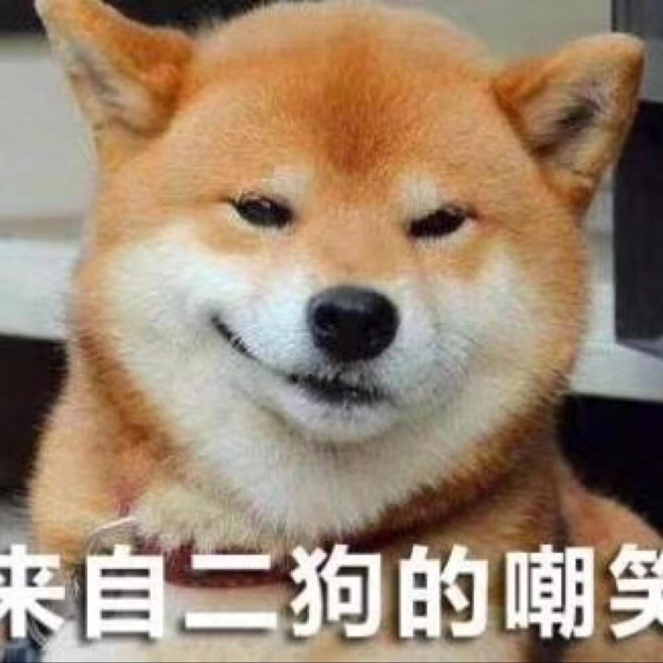 志远宠物