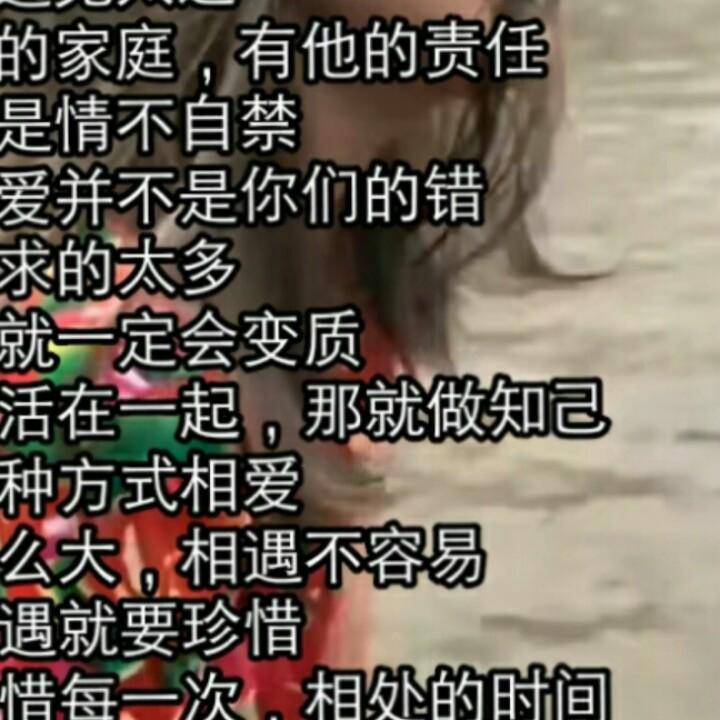 骑蚂蚁追宝马