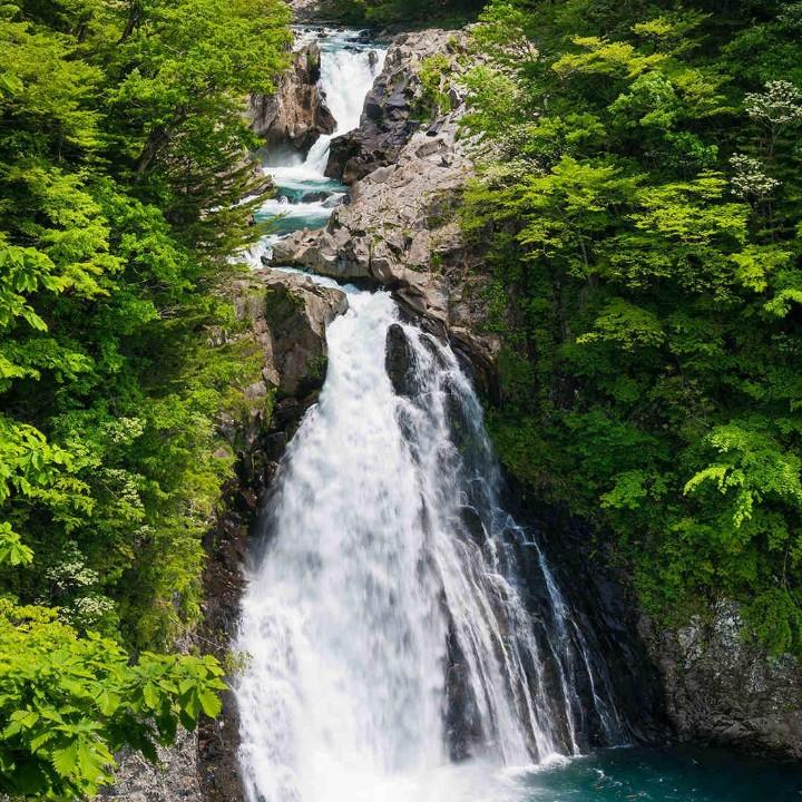 魅影