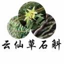 隆阳区云仙草家庭农场