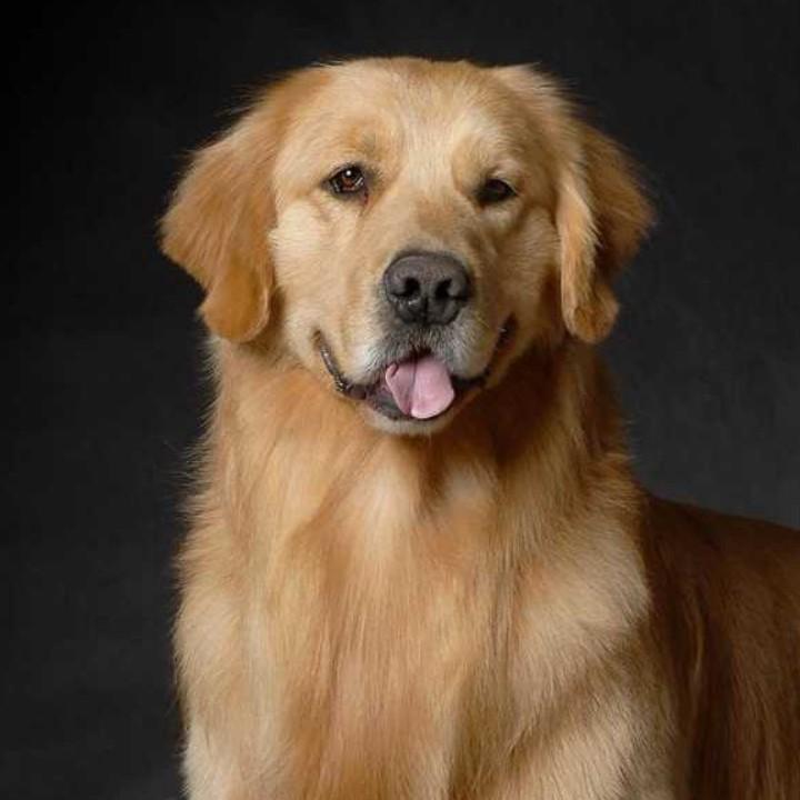 新的人生就要开始