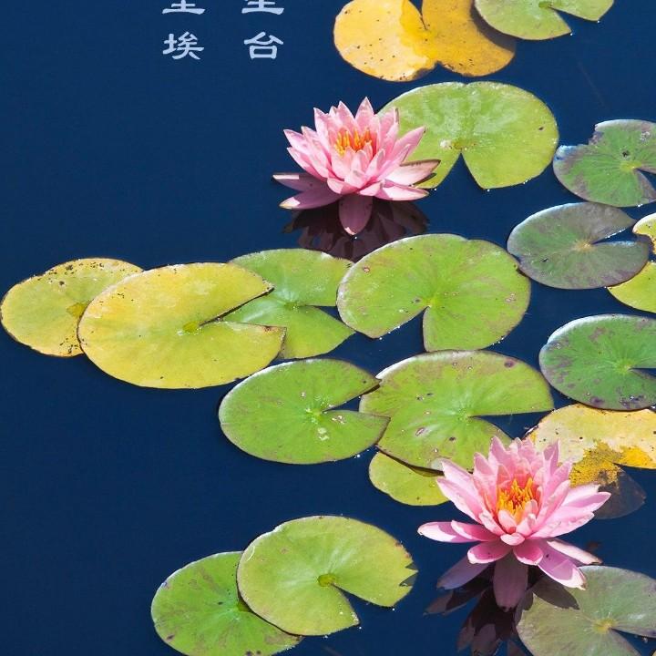 无语