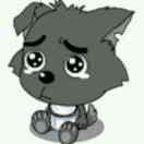 AA···梦磊！这就是！，