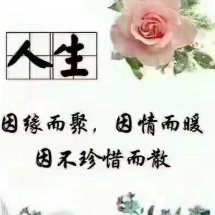 做供应链的果哥