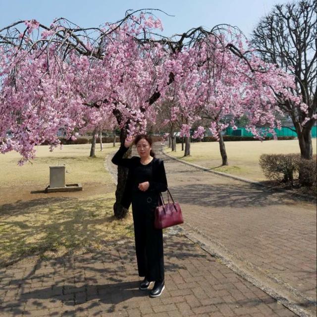 莉莉姐