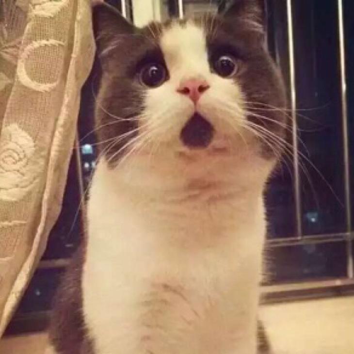 向前看